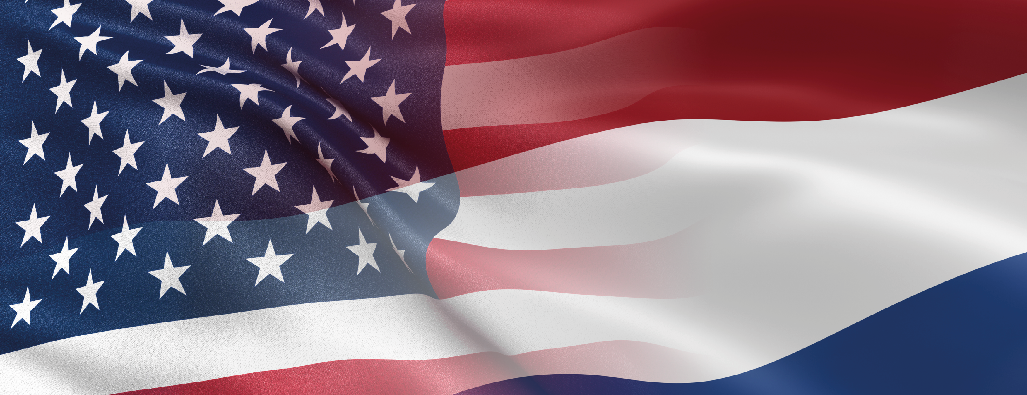 header DOD page website.png